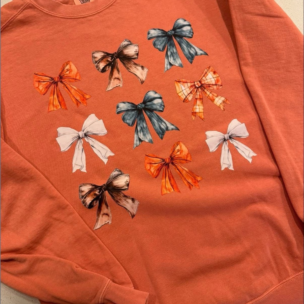 Comfort Colors Terracotta Sweatshirt with Bow Design
